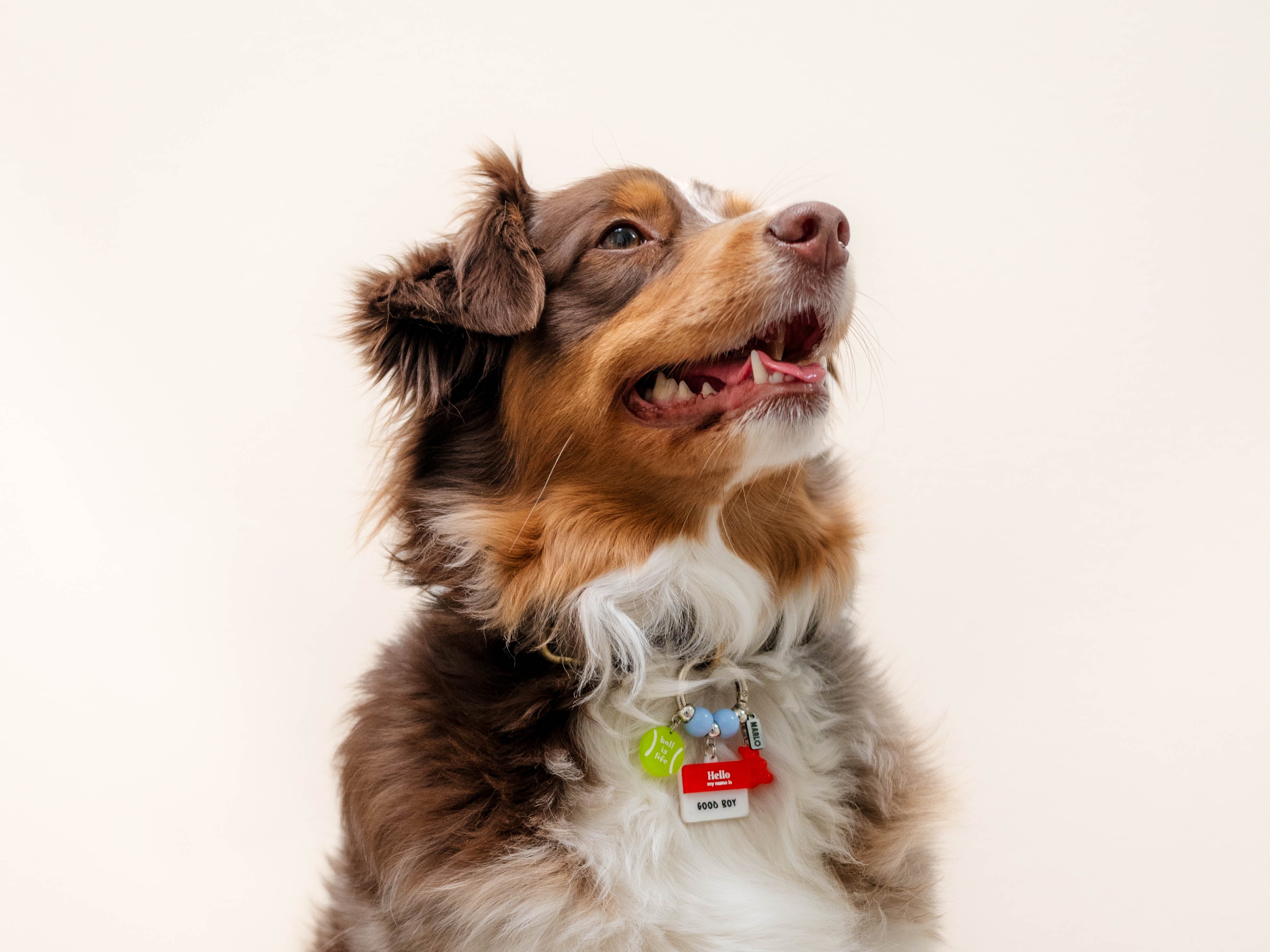 The "Tsuki" Waggle