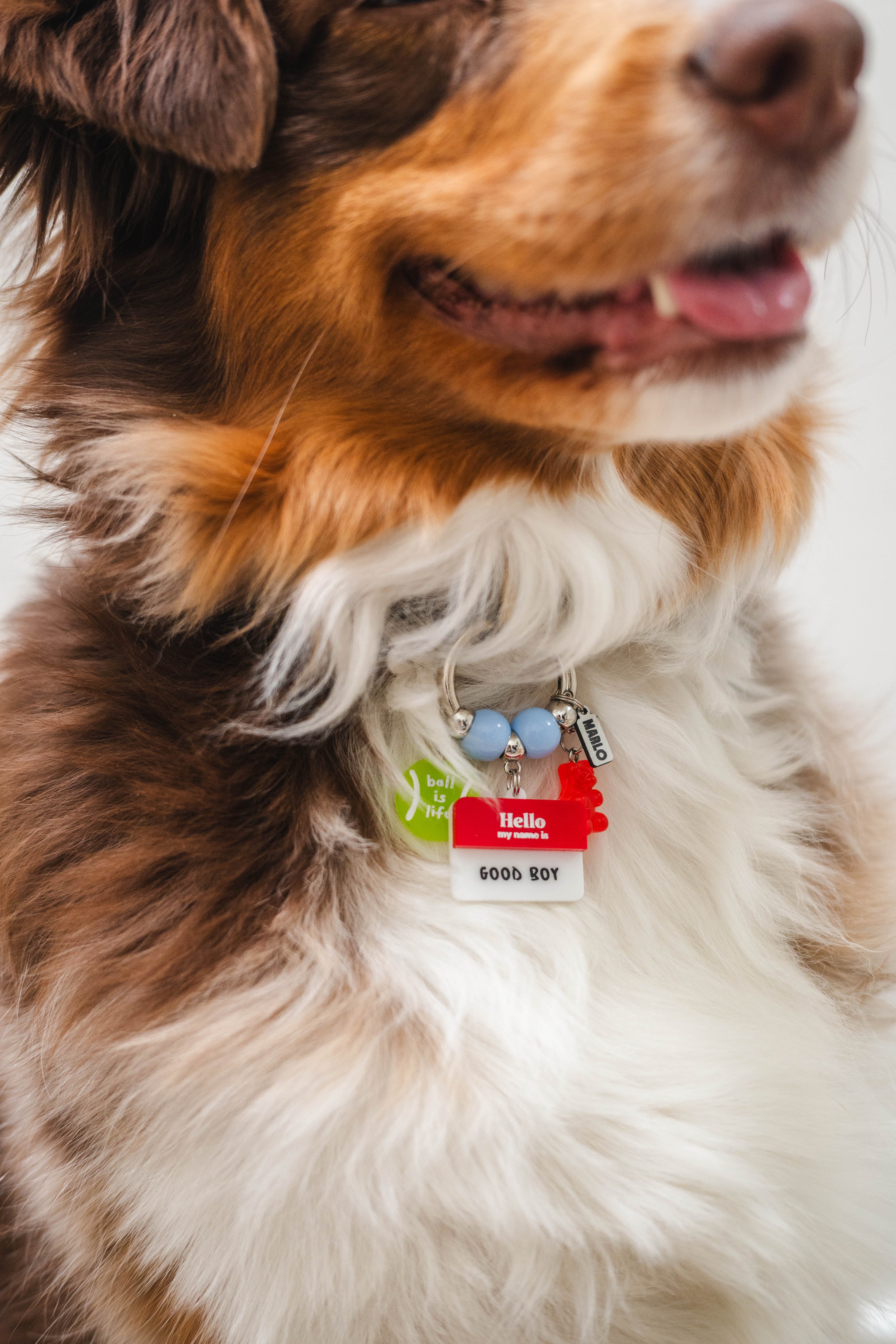 The "Tsuki" Waggle