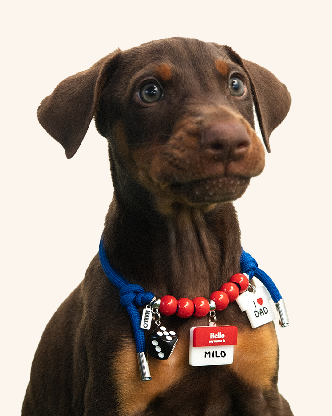 The "Milo" Necklace