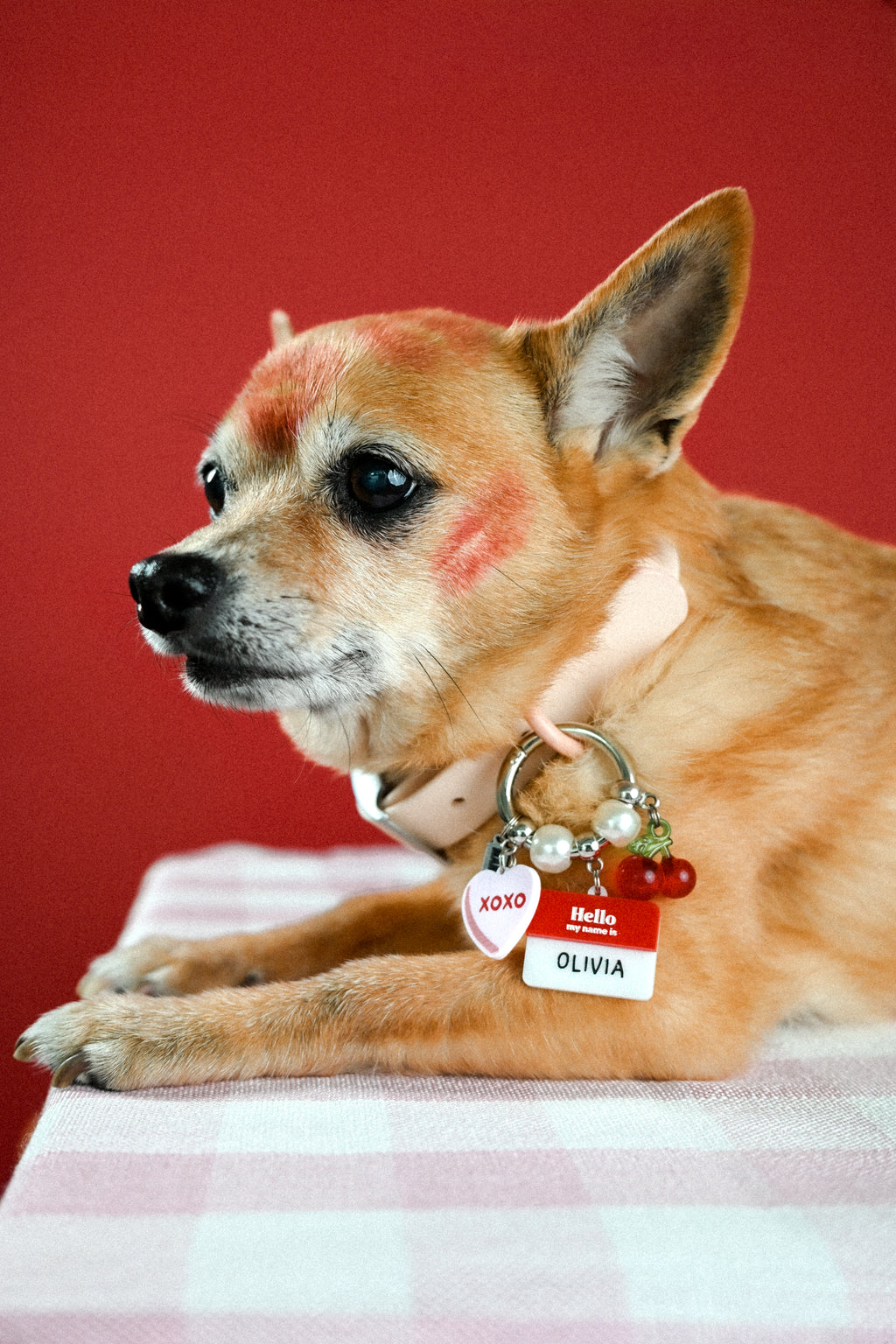 "XOXO" Waggle