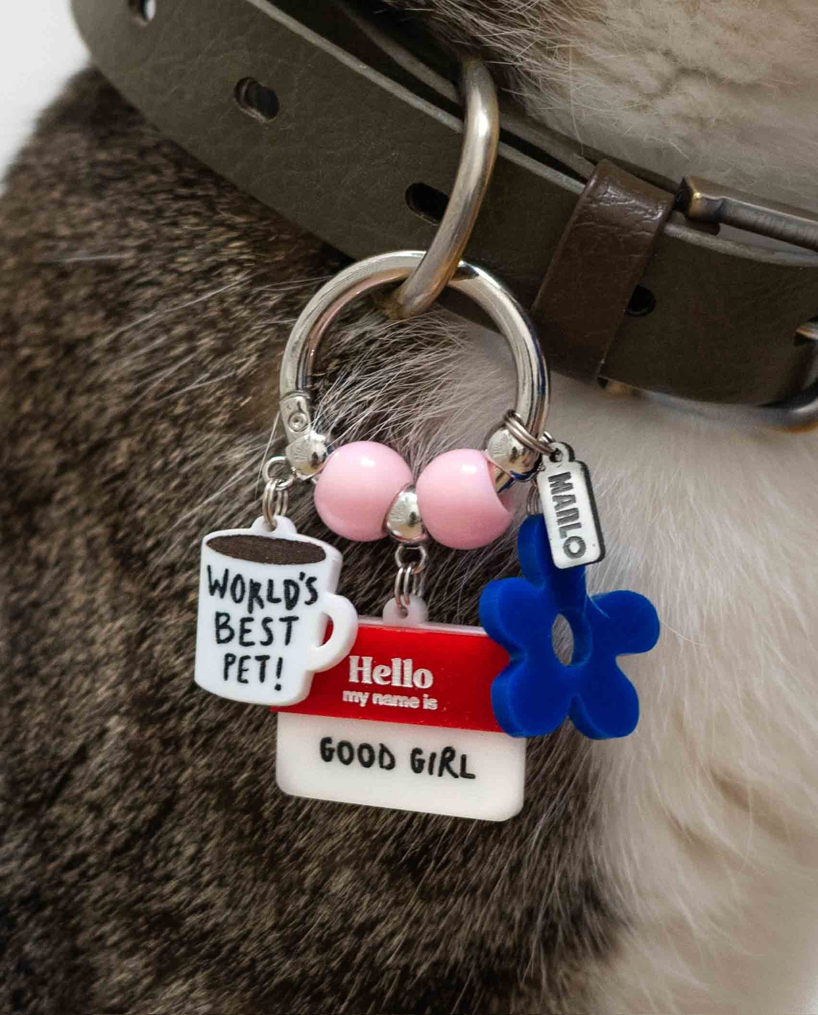 The "Umma" Waggle