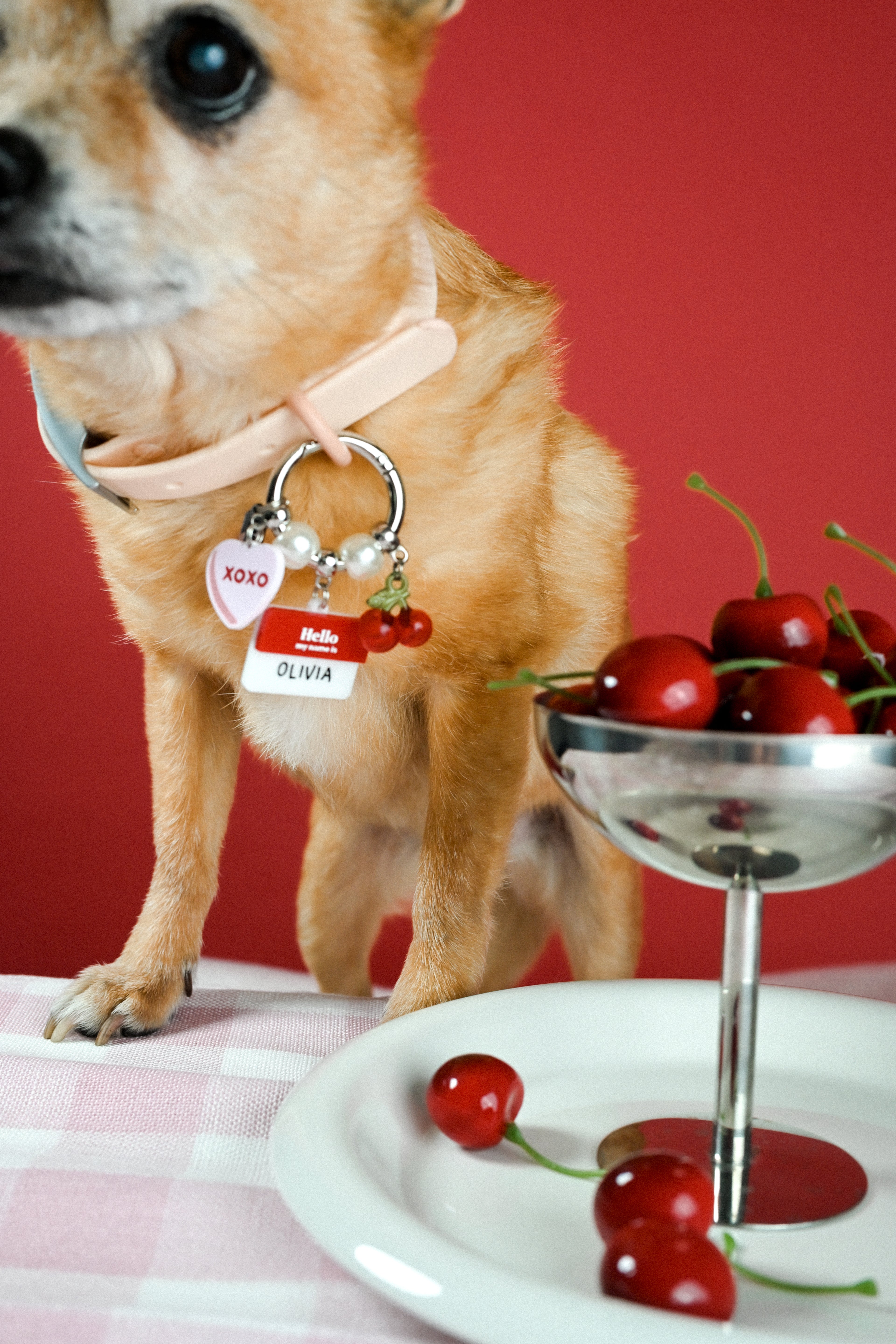 "XOXO" Waggle